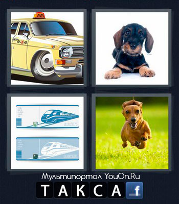 Найди слова такси. 4фото 1 слово 5 букв собака. 4 Фото 1 слово собачка очках. Две картинки одно слово собака и. 4 Картинки одно слово ответы.